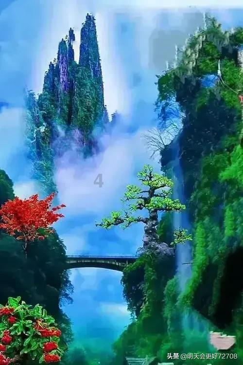 88影视