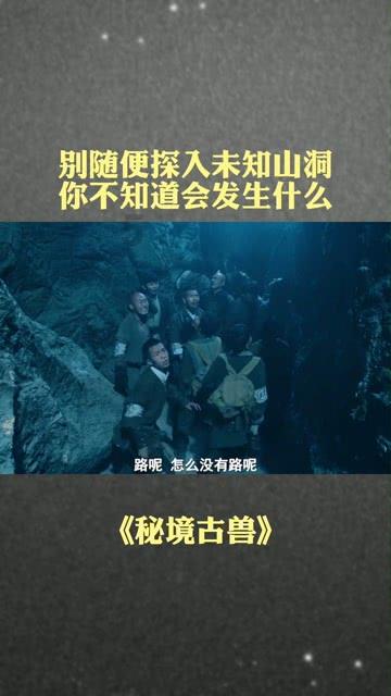 虫虫助手下载