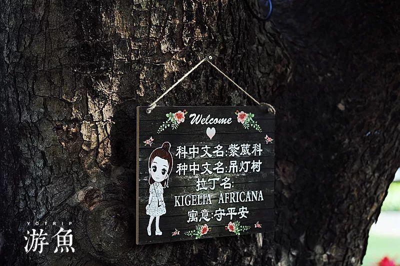 加强协作演练 共护站区平安