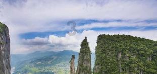 探索特朗普发自己的魔性舞姿合集拉票,网友:是来搞笑的吧,解锁你的疑惑之门