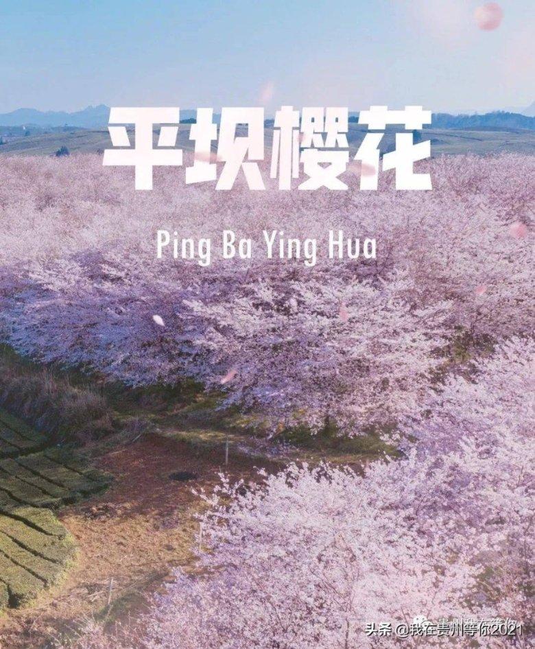 倪虹洁身上的于正恶毒妆造,令人深感震撼!