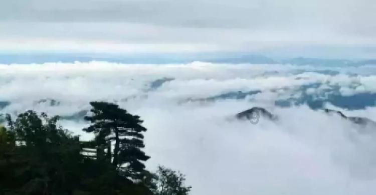 沪江开心词场