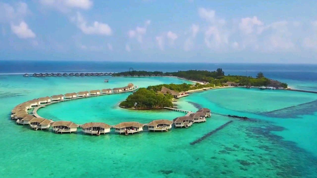 沪江开心词场