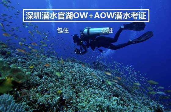 上海一快递小哥偷10万元金饰还债，他将会被如何处罚呢？