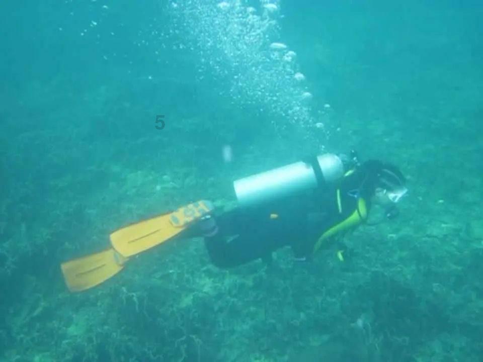 小猫钓鱼游戏龙王版有船