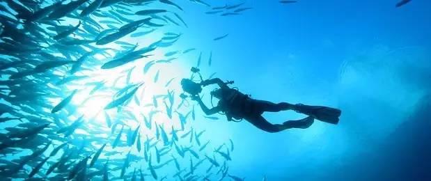 海底世界填颜色5