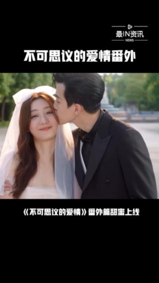 救援小肥兔