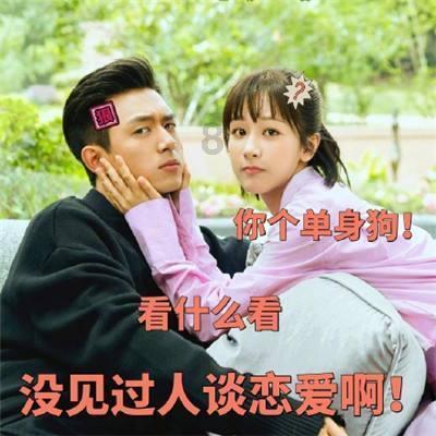 春节来蓉看“滚滚” 这些细节你必须了解!