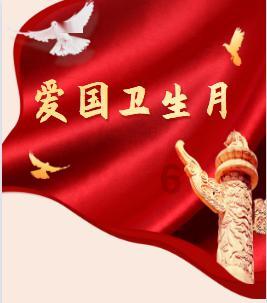 小猫钓鱼游戏龙王版有船