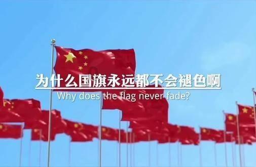蓝狐视频