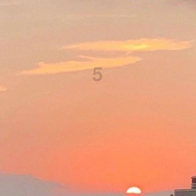 春雨直播app