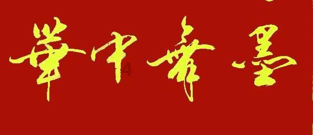 蓝狐视频