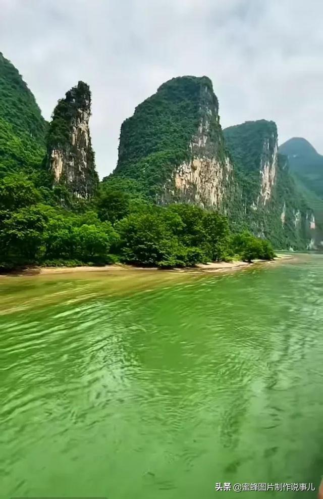 沪江开心词场