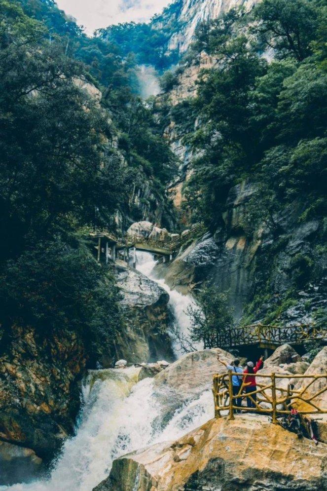 救援小洋葱