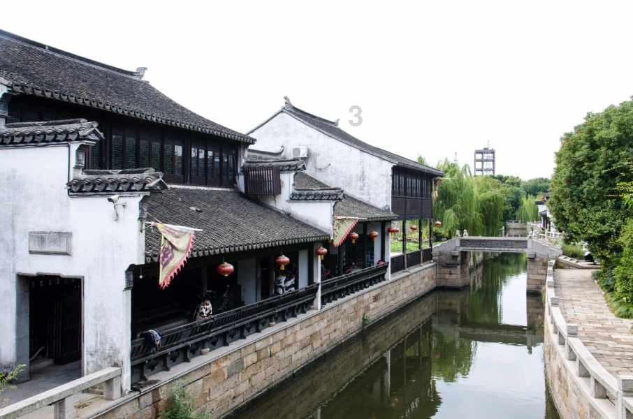 呆萌动物园
