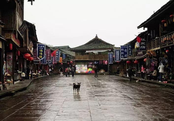 机智问答网页-快速找到你需要的答案-德意法三国领导人访乌有什么意义?专家在线回答