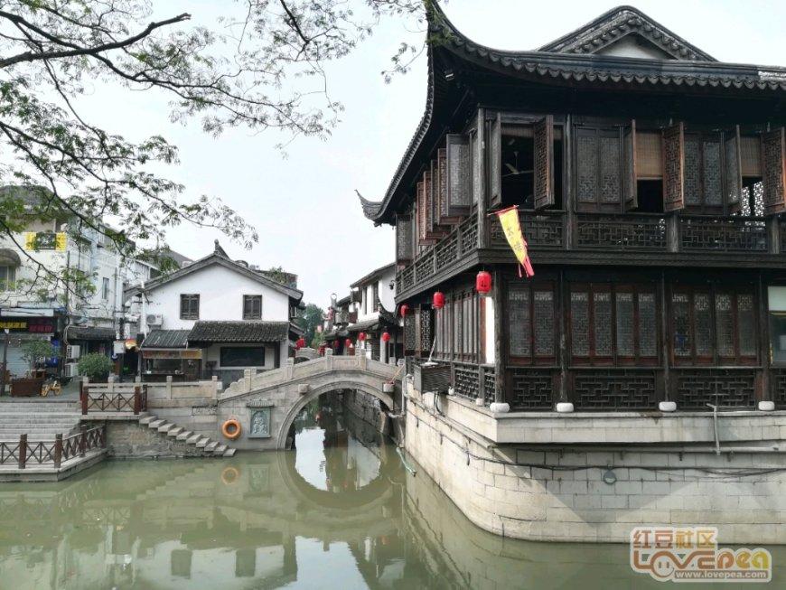 春雨直播app